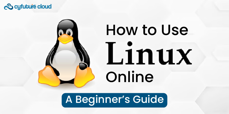 Online Linux hosting